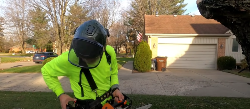 tree trimming service article